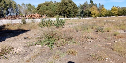 SE VENDE TERRENO 8.000m2 CAMINO CORONEL
